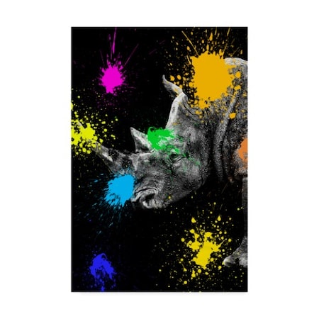 Philippe Hugonnard 'Rhino Portrait III' Canvas Art,16x24